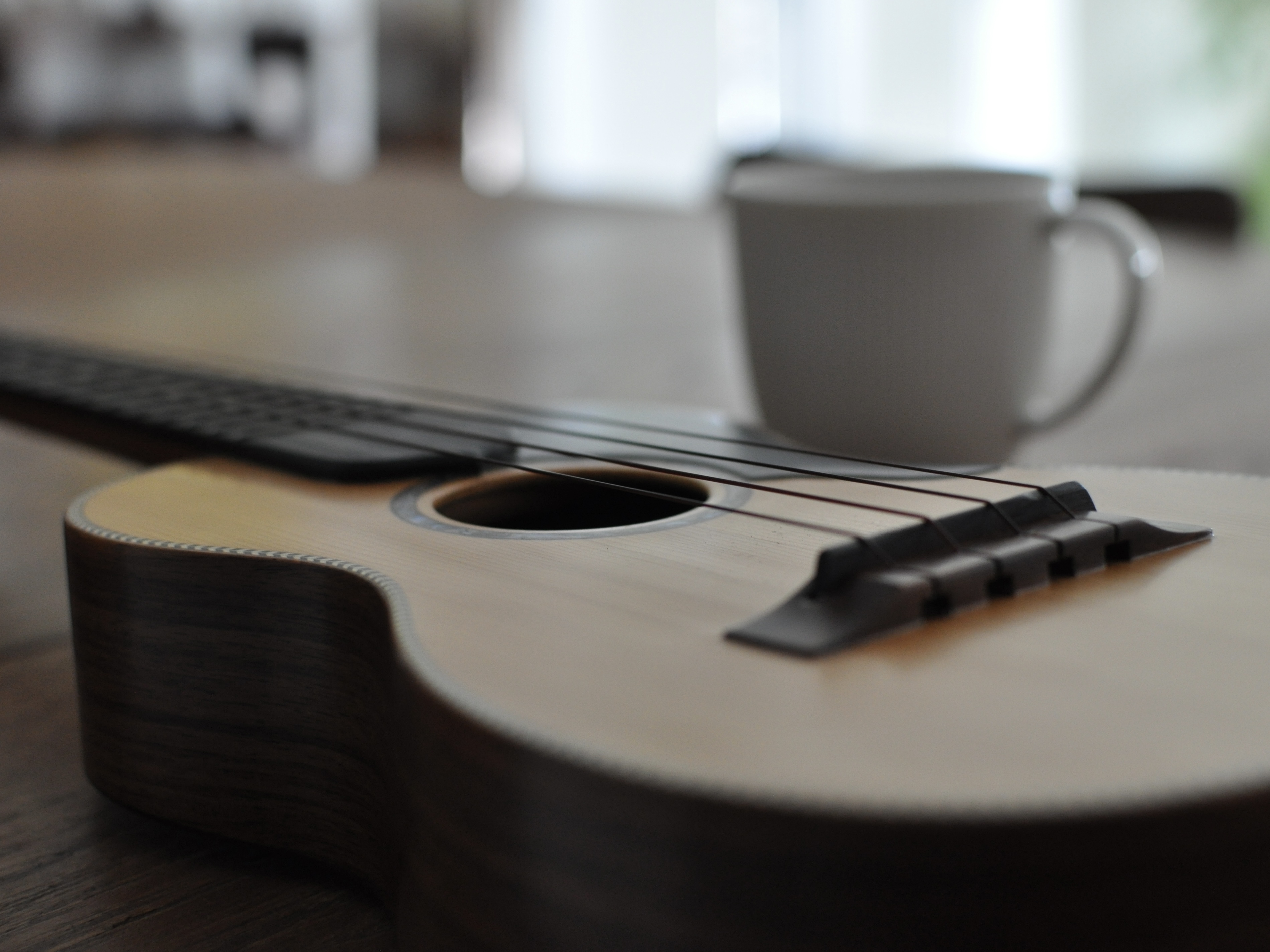 シンガーソングライターに教わる〜はじめてのウクレレ弾き語り講座の紹介画像4