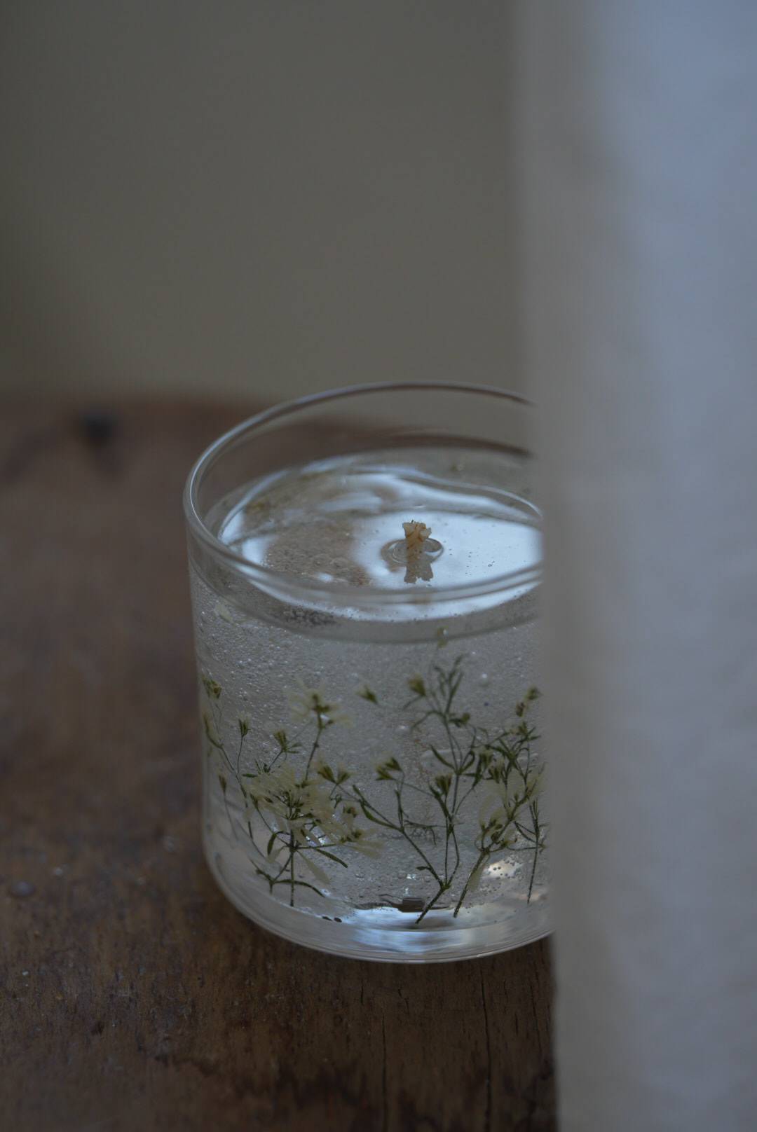 植物の蝋燭【foundationコース Lesson9〜15】の紹介画像5