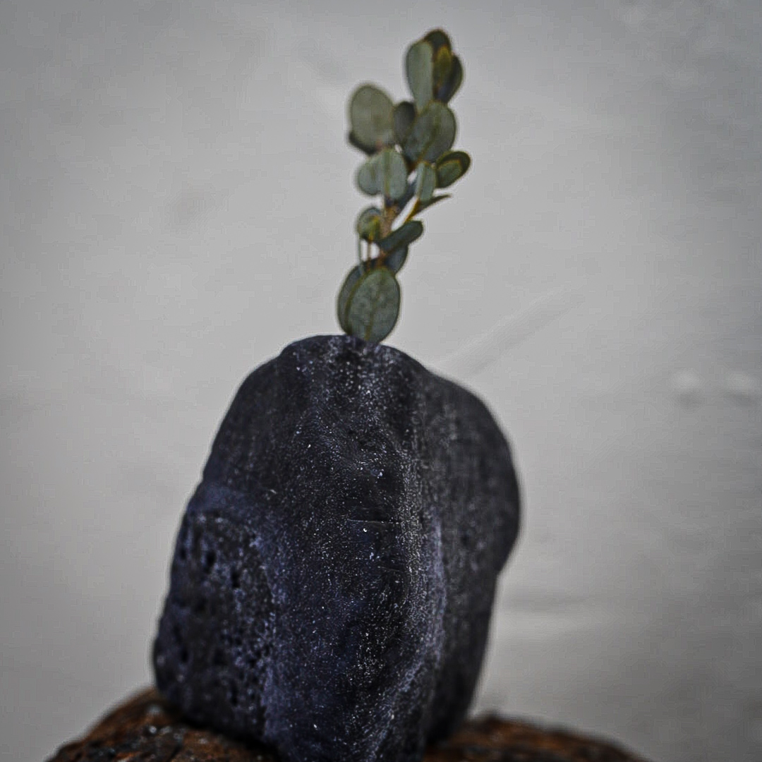 さらに発展的な技法【foundationコース Lesson30〜35】の紹介画像4