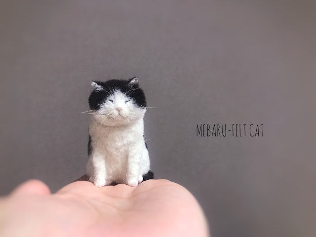 羊毛フェルト猫　【カーリング　猫】