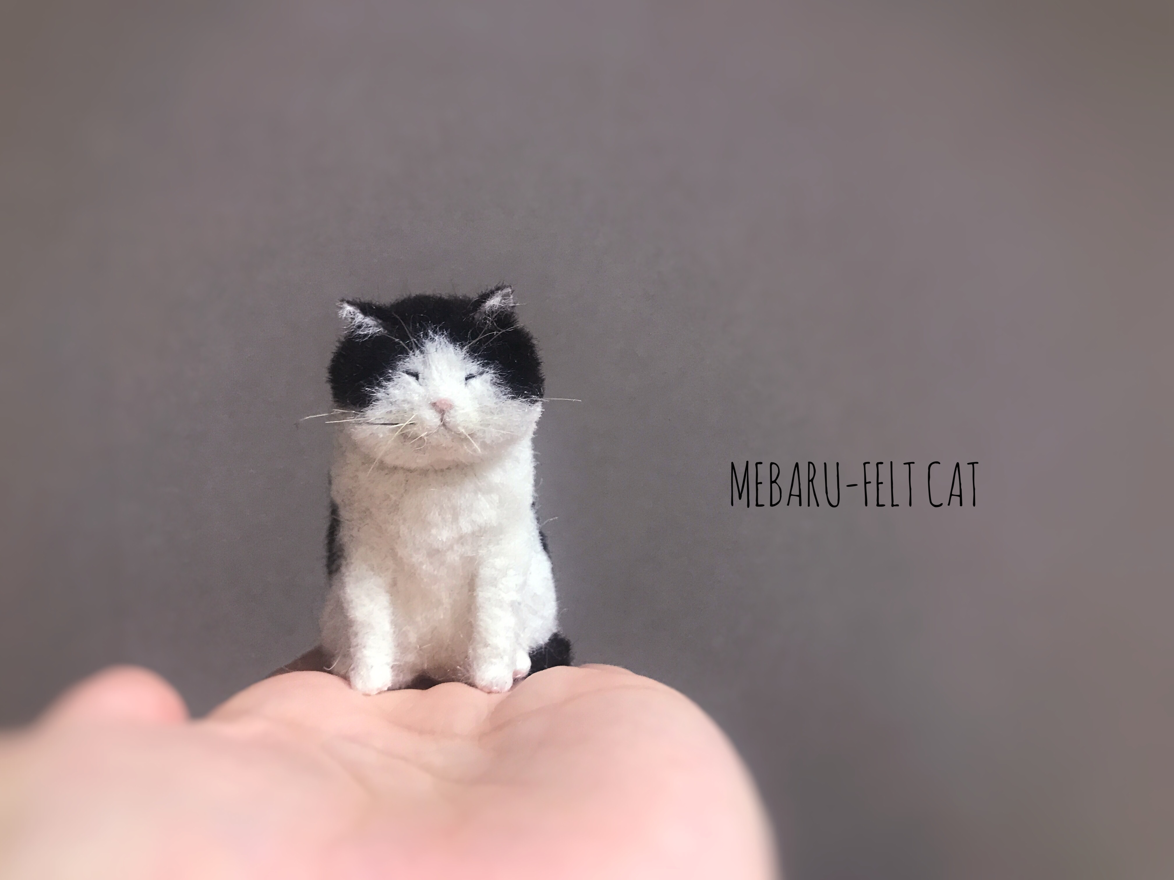 コースレッスン】MEBARUが教える！初めての羊毛フェルト講座 -白黒猫編- FANTIST