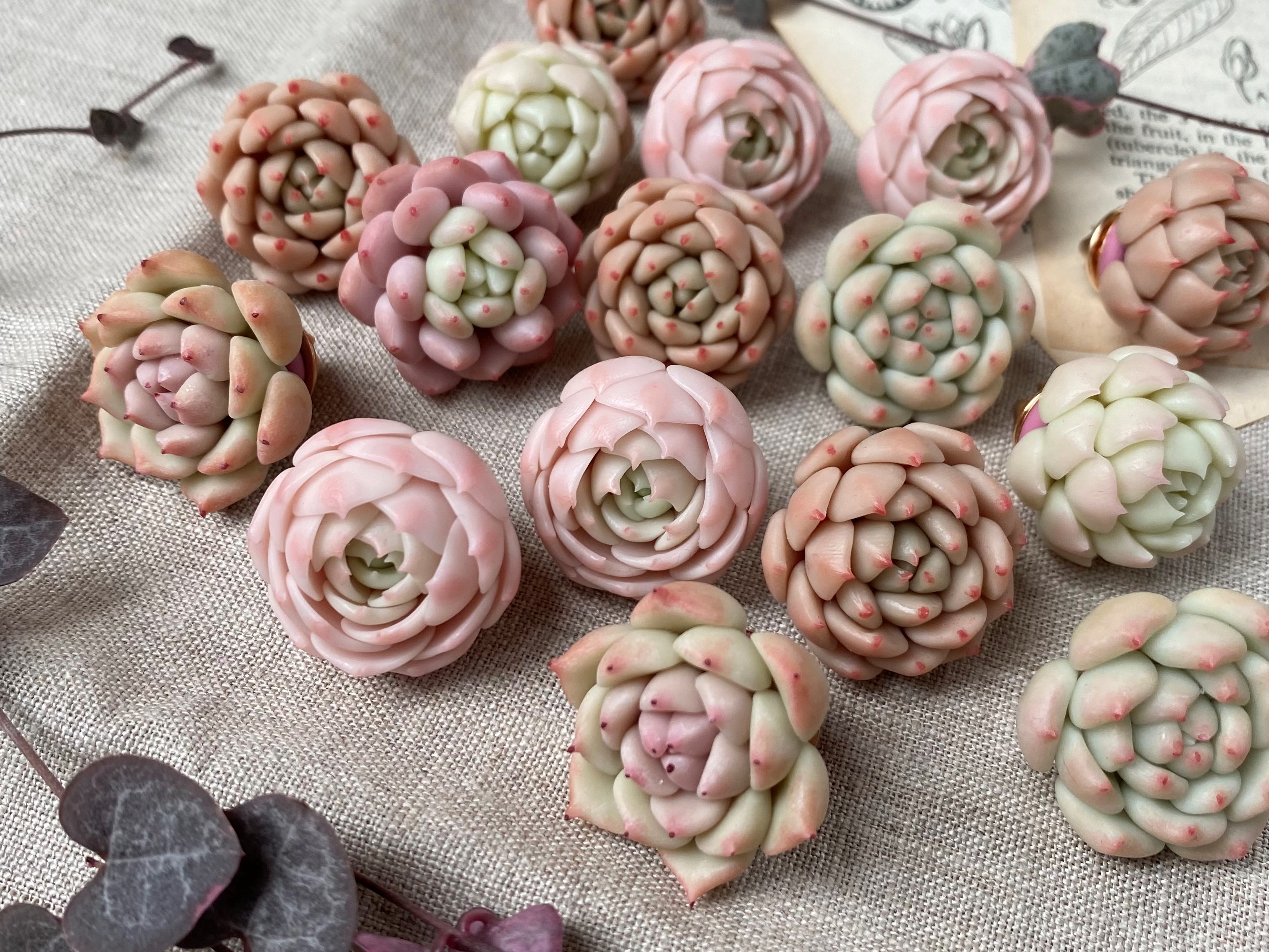 コースレッスン】多肉粘土職人poncotageが教える！初めての粘土多肉