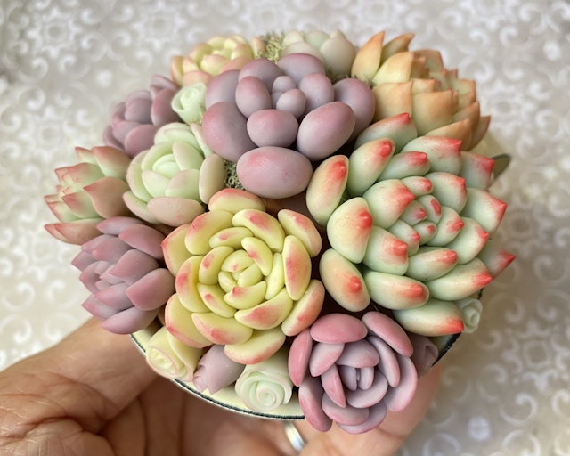 多肉粘土職人poncotageが教える！初めての粘土多肉レッスンの紹介画像3