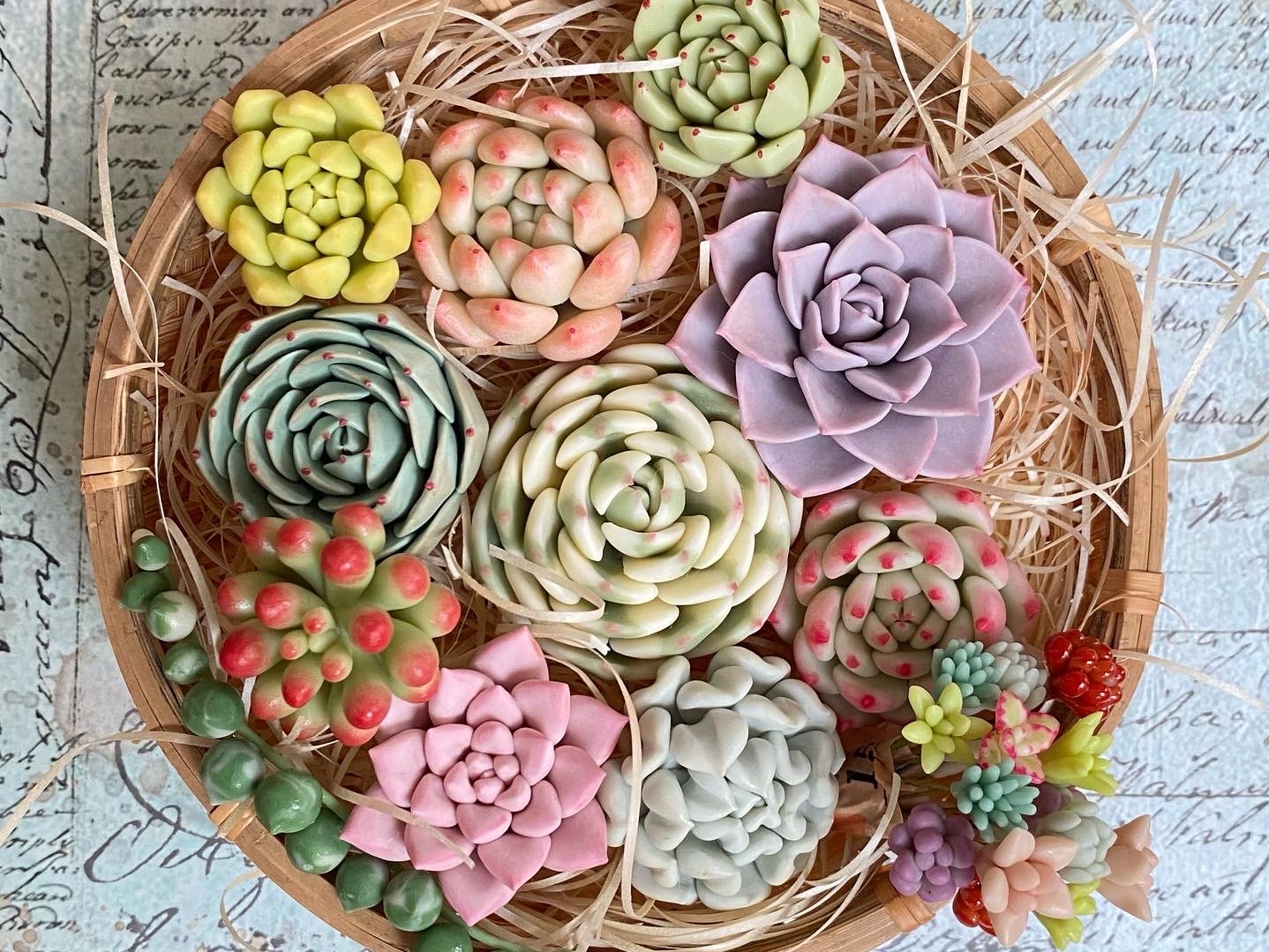 多肉粘土職人poncotageが教える！初めての粘土多肉レッスンの紹介画像5