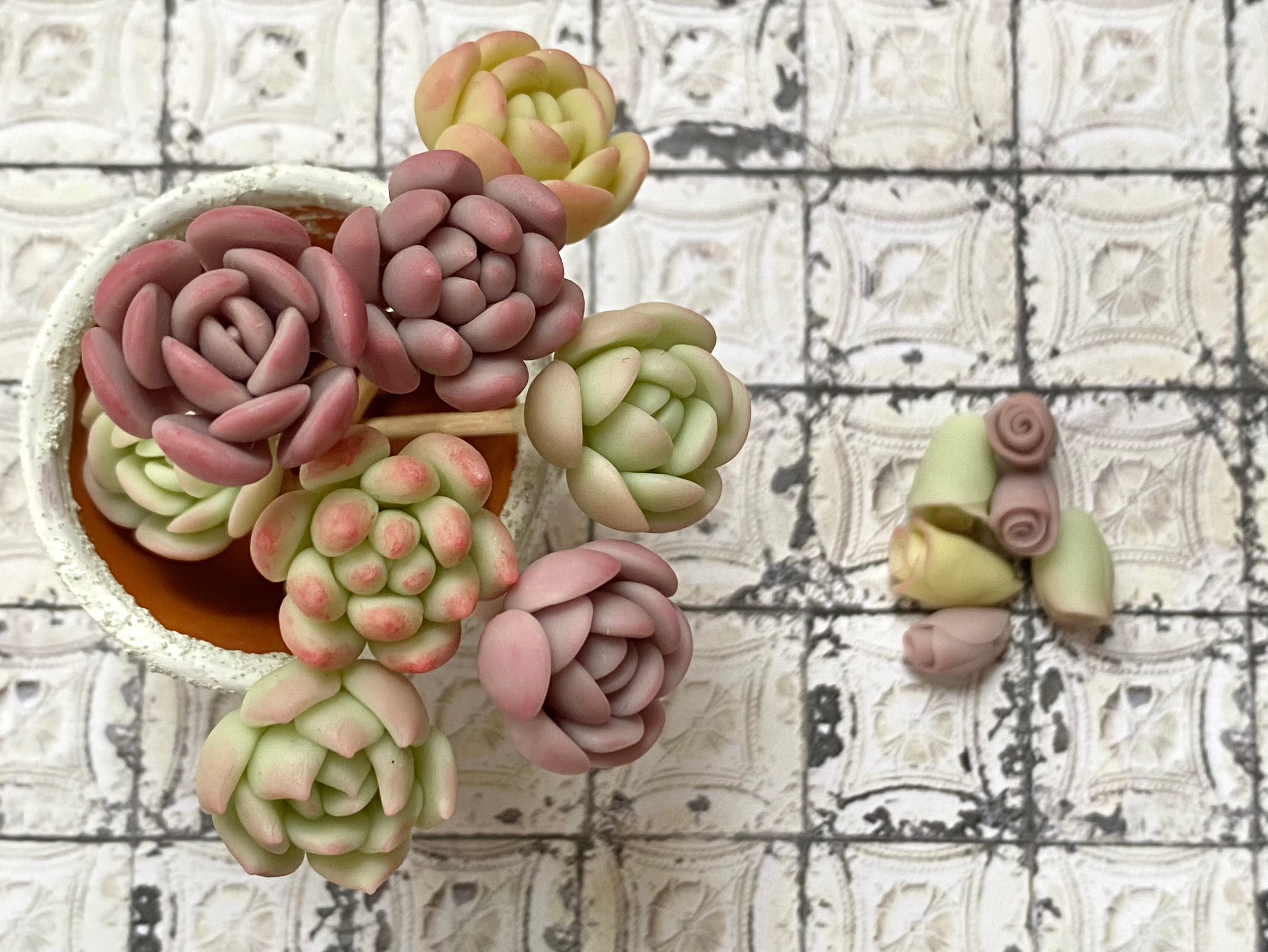 多肉粘土職人poncotageが教える！初めての粘土多肉レッスンの紹介画像6