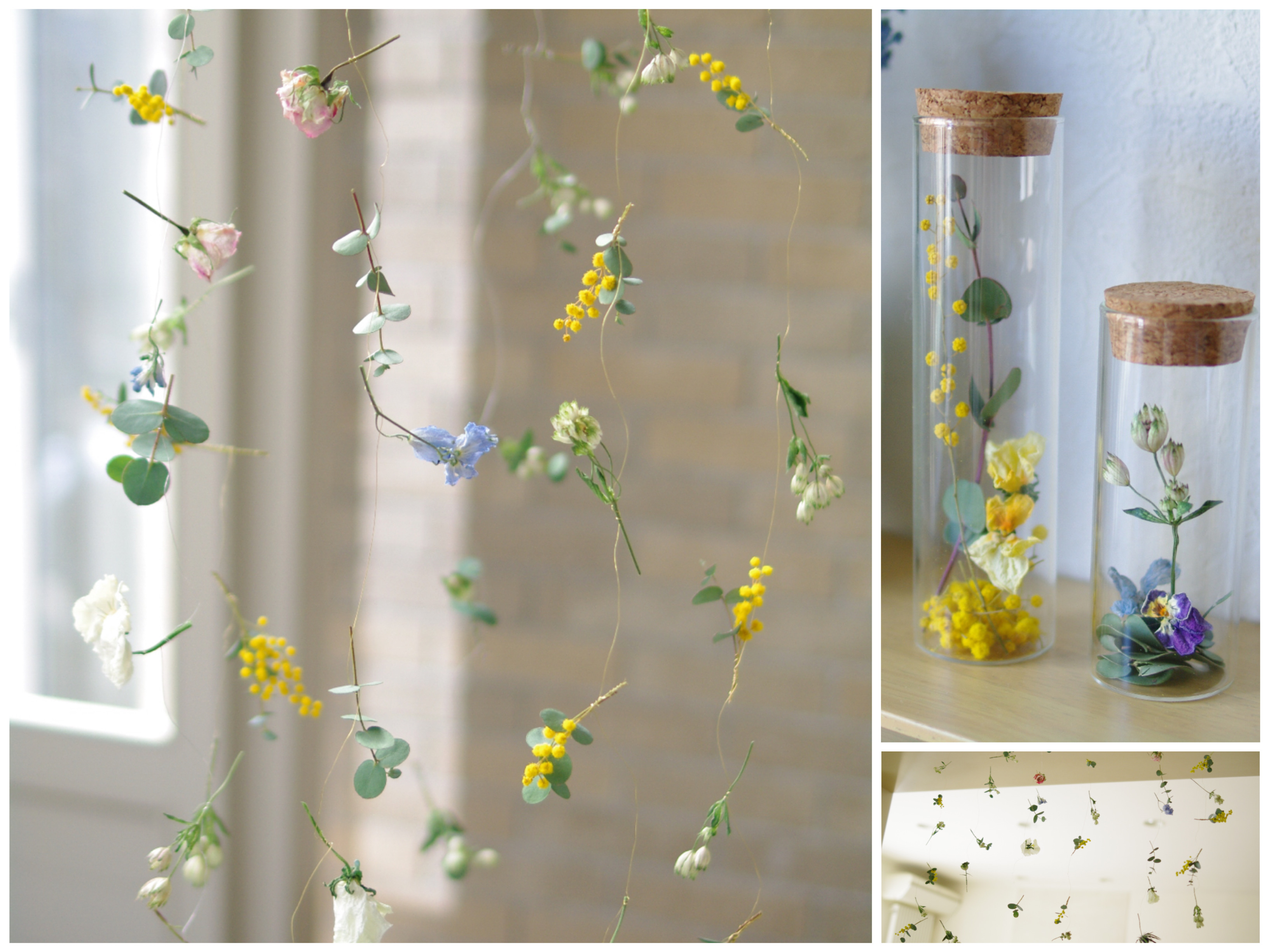 はじめての季節の草花ドライフラワー講座 春編の紹介画像4