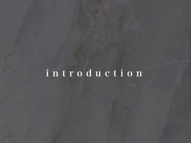 Introduction(導入)の画像