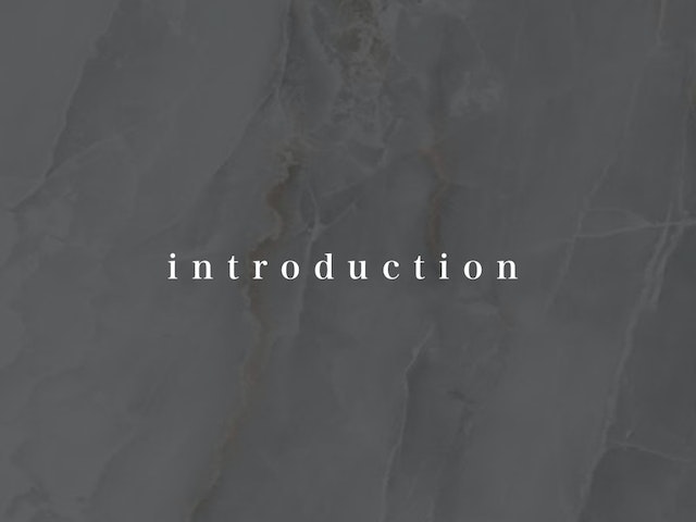 Introduction(導入)の画像