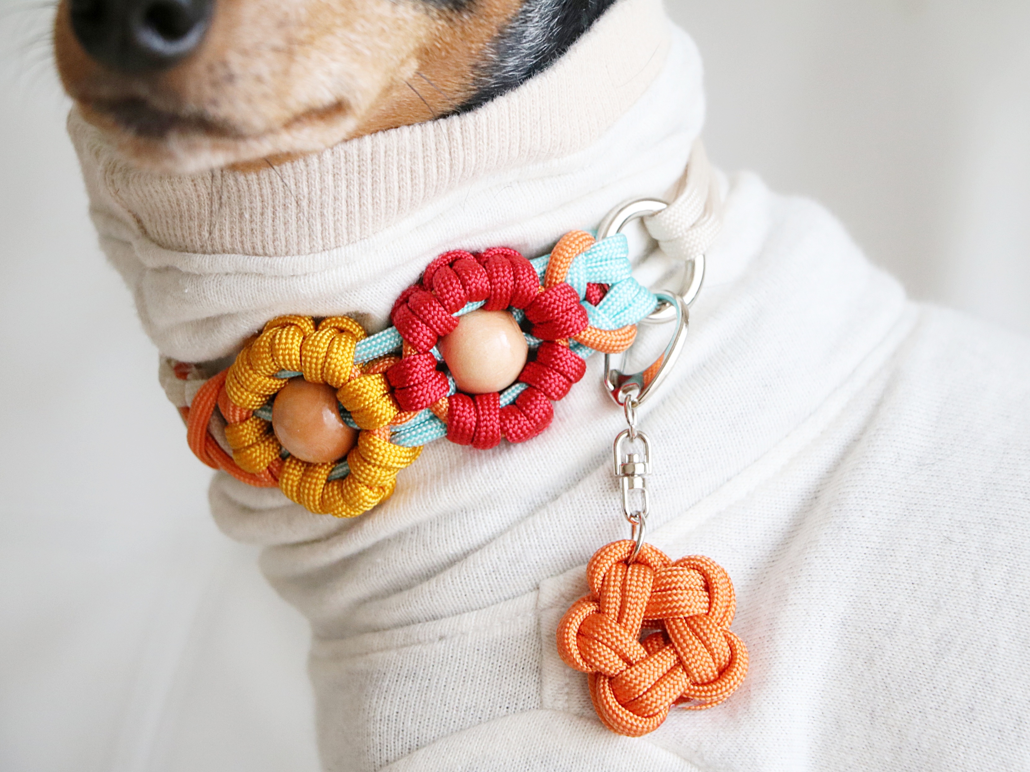 首輪つくり④パラコードのお手入れ方法・色合わせのコツ・リードの説明等の画像