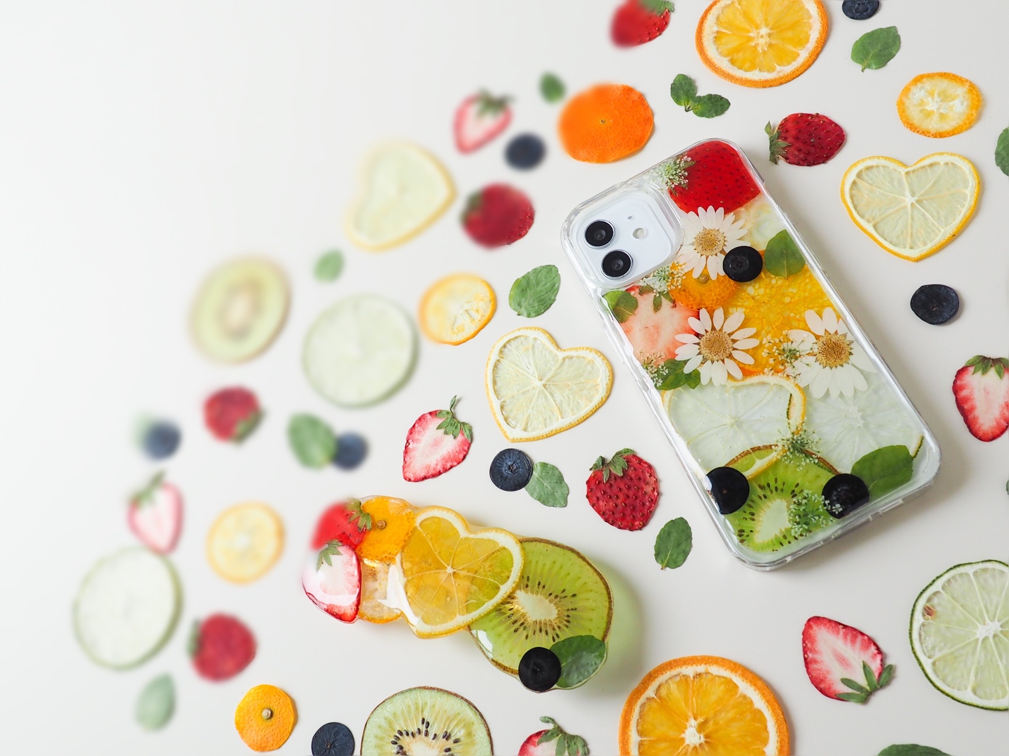 Introduction（導入）の画像