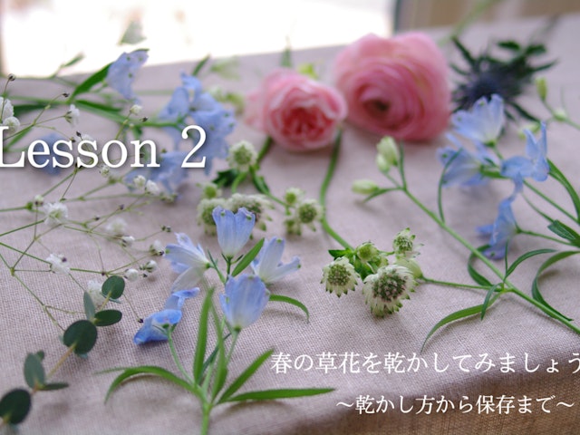 春の草花を乾かしてみましょう〜乾かし方から保存まで〜の画像