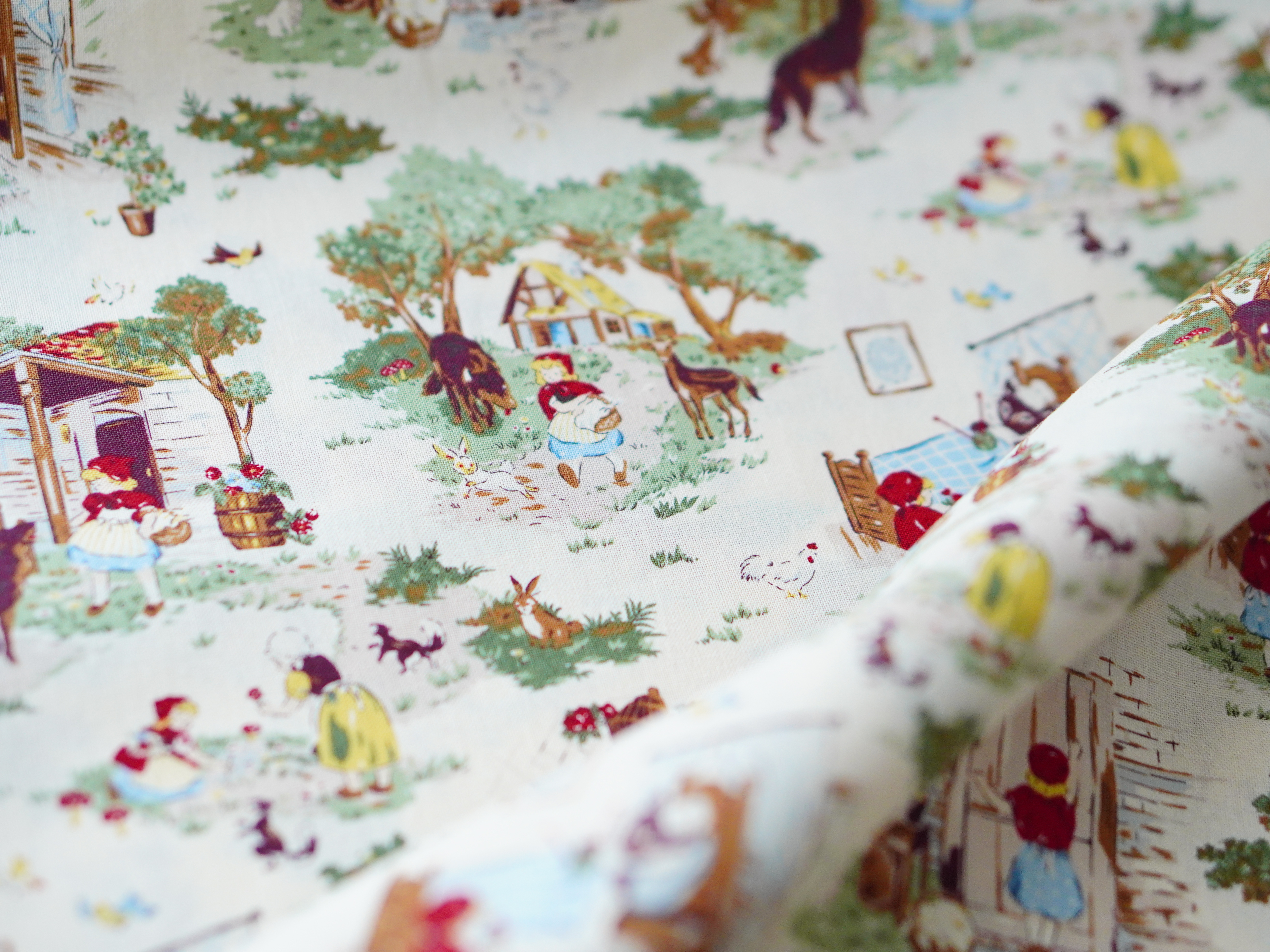 Introduction（導入）の画像