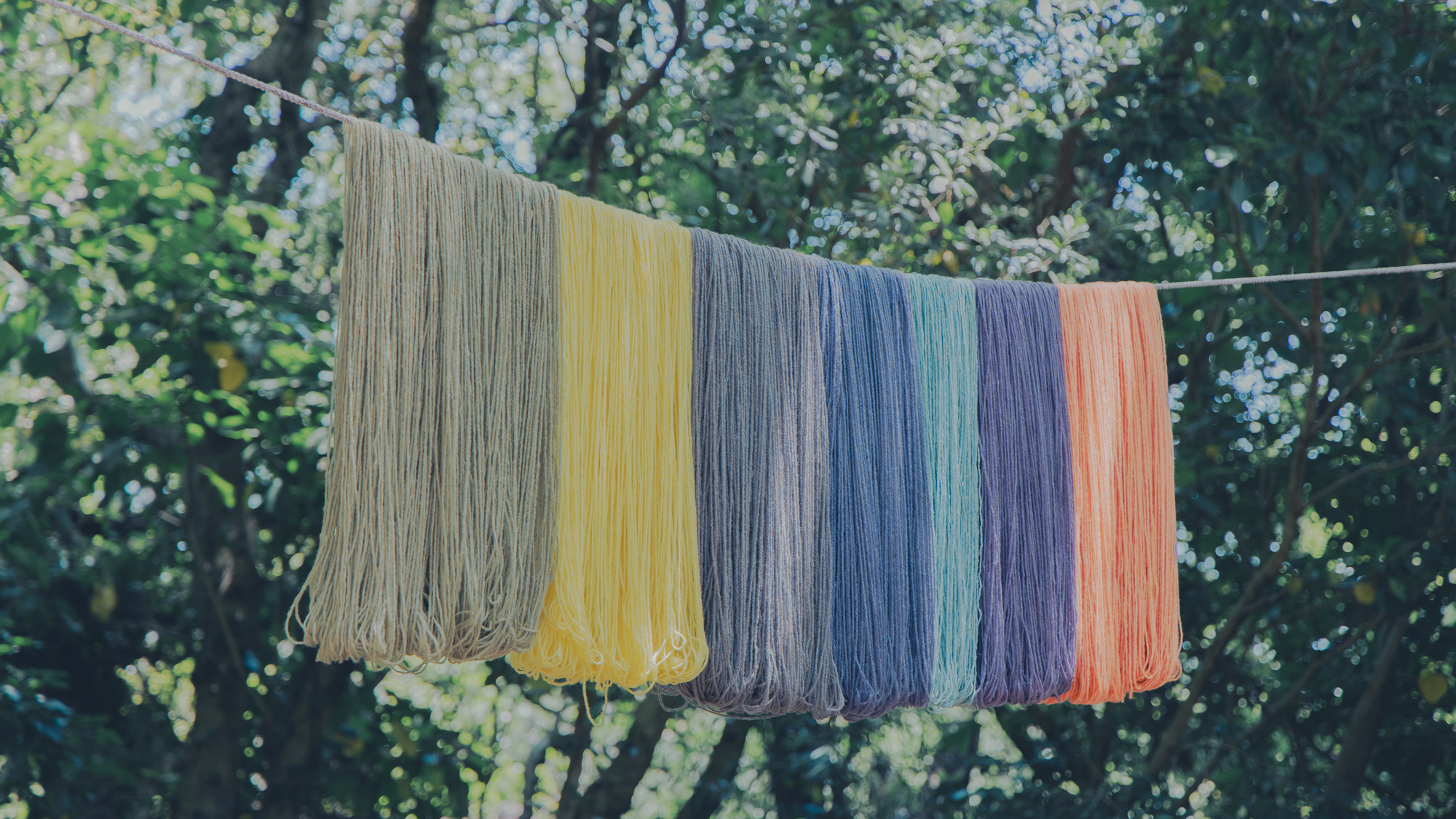 ウール100%の毛糸を染めるの画像