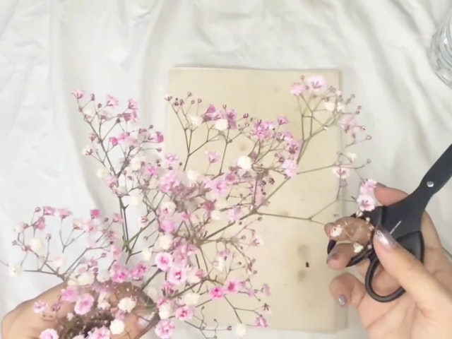かすみ草花材(押し花)を作り、ケースに閉じ込めようの画像