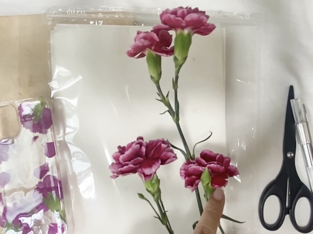 押し花の道具の紹介、道具剪定のポイントの画像