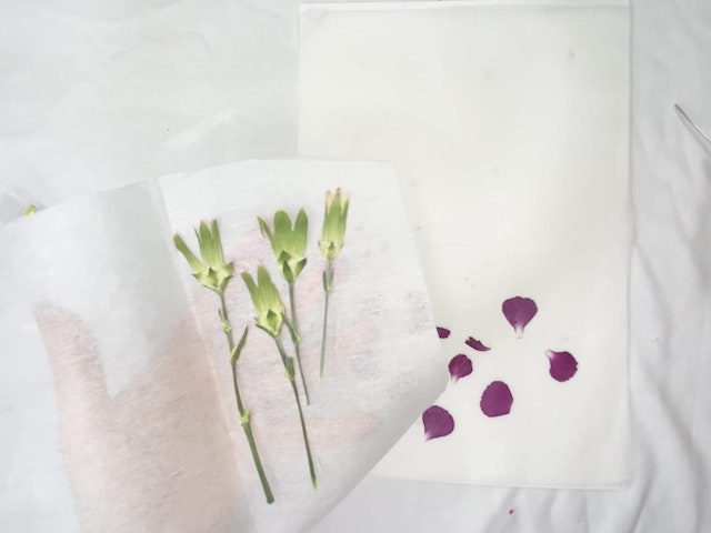 完成した押し花の保存方法の画像