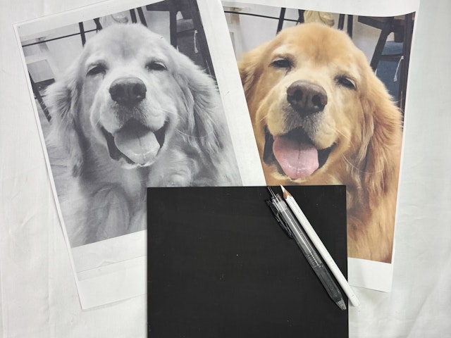 転写と下書きの仕方の画像