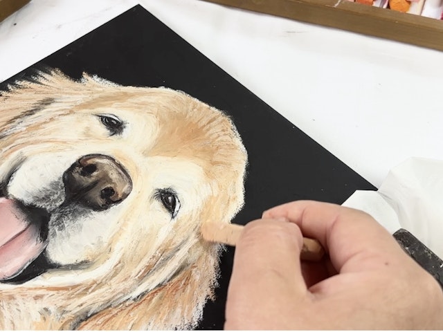 毛並みの描き方の画像