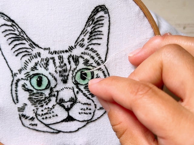 猫さんのおヒゲ・瞳の光を入れるの画像