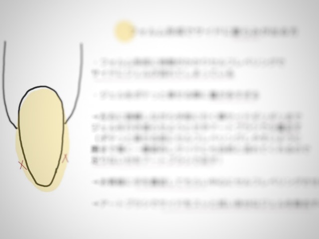 画像による徹底解説の画像