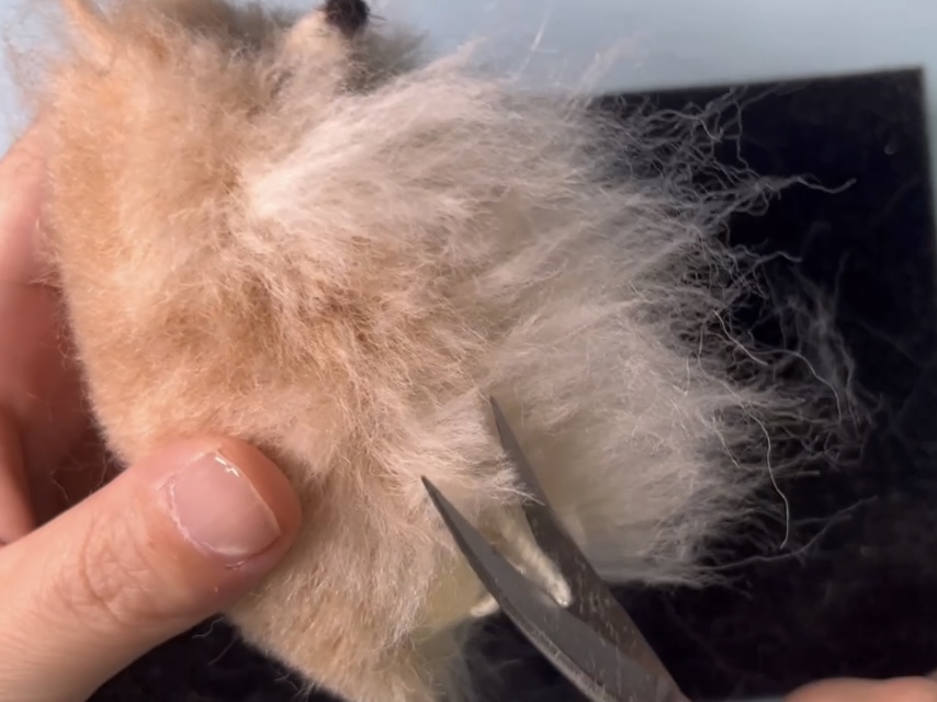 体の植毛と毛のカットの画像