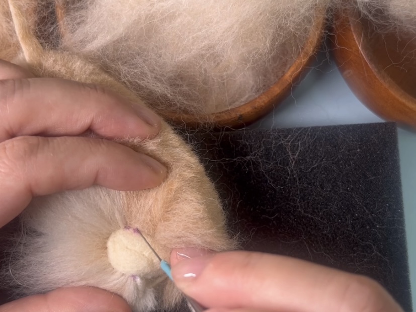 後脚の植毛と毛のカットの画像