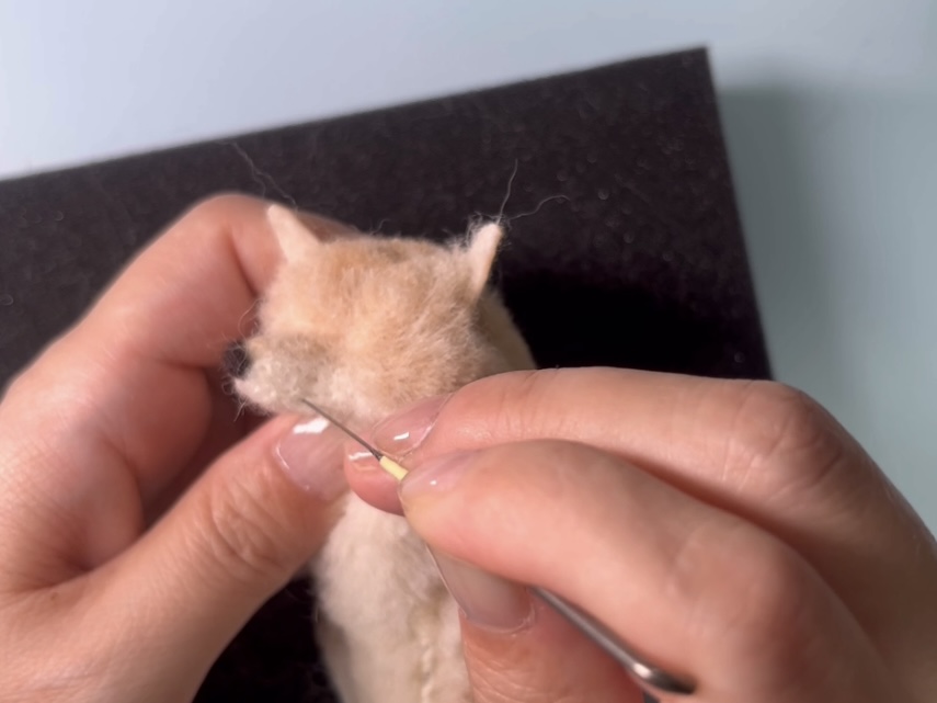 お鼻まわりのにくづけの画像