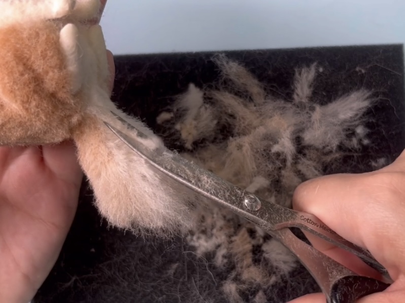 しっぽの毛のカットの画像