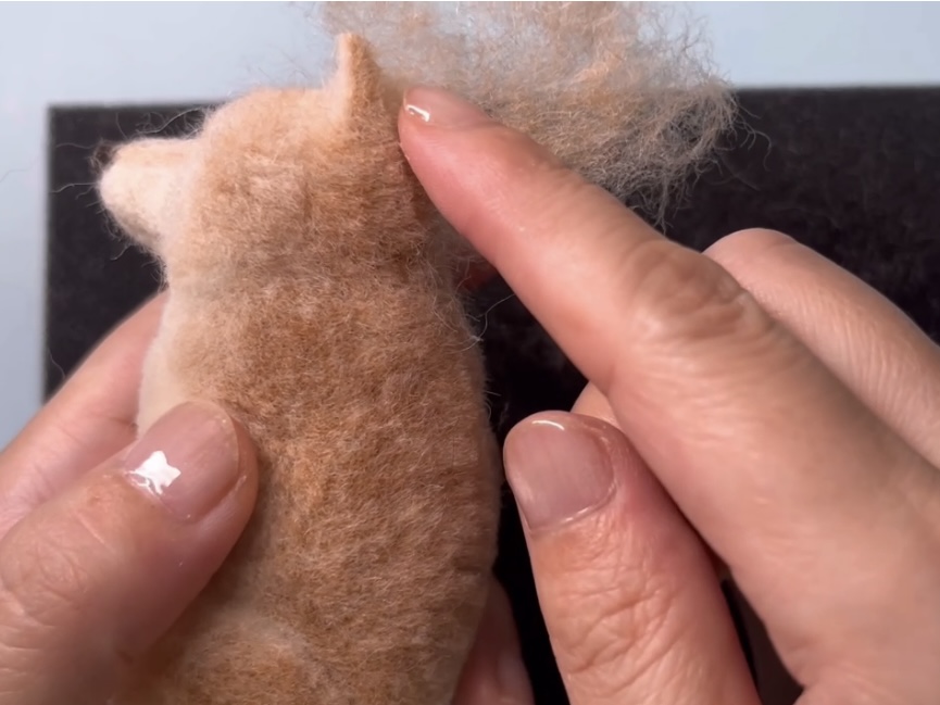 耳の植毛方法の画像