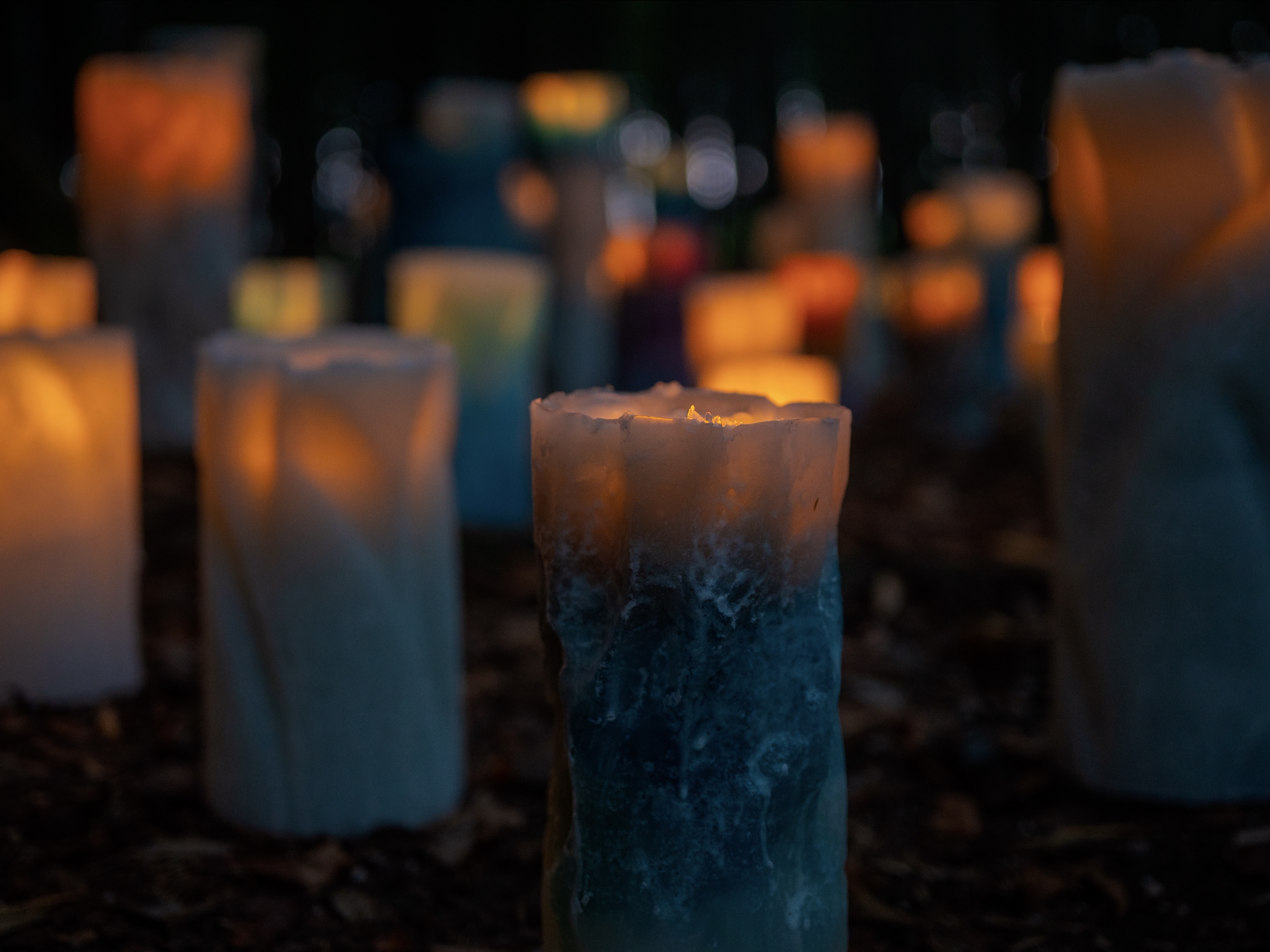 確認テストの画像