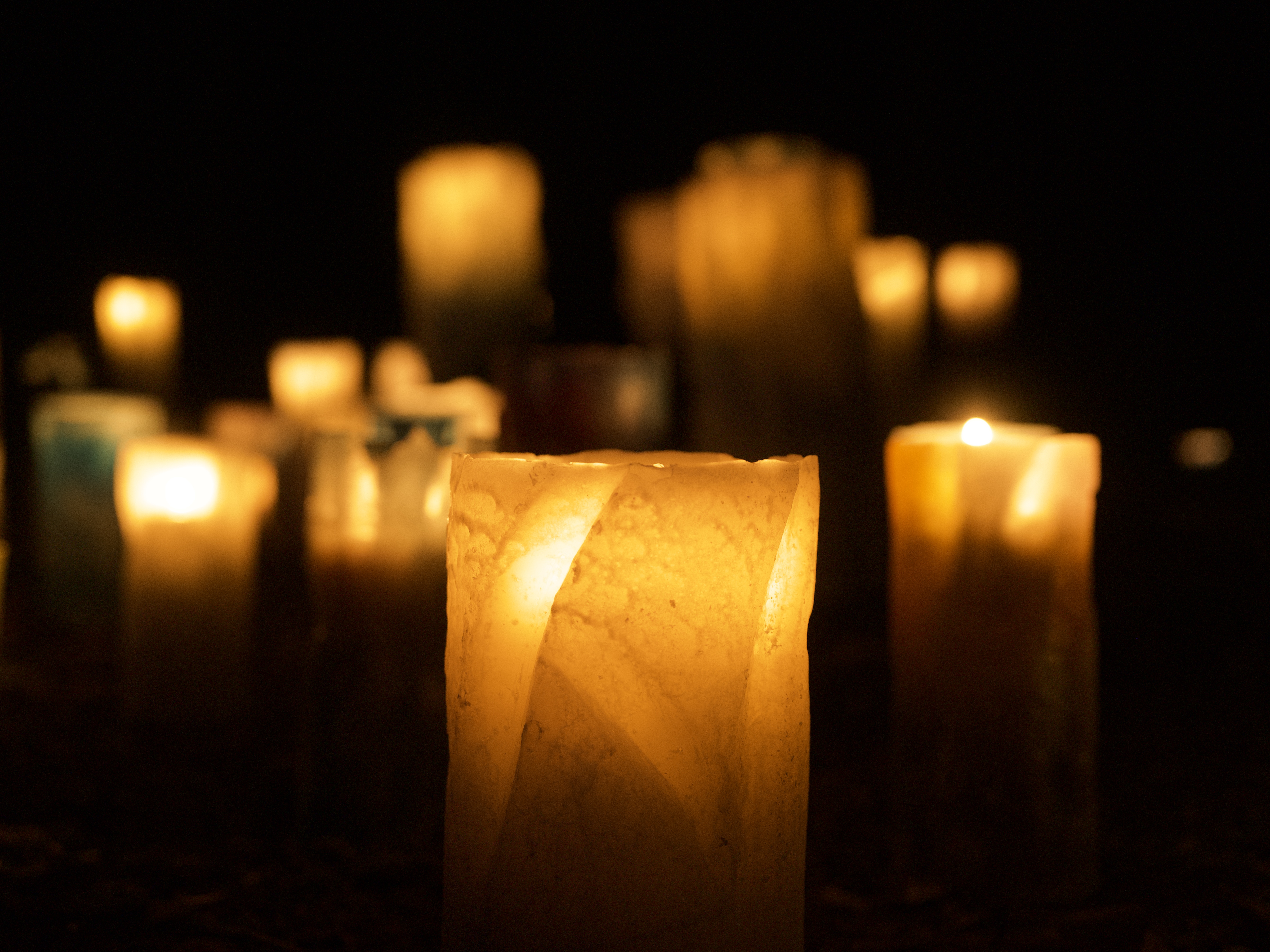 確認テストの画像