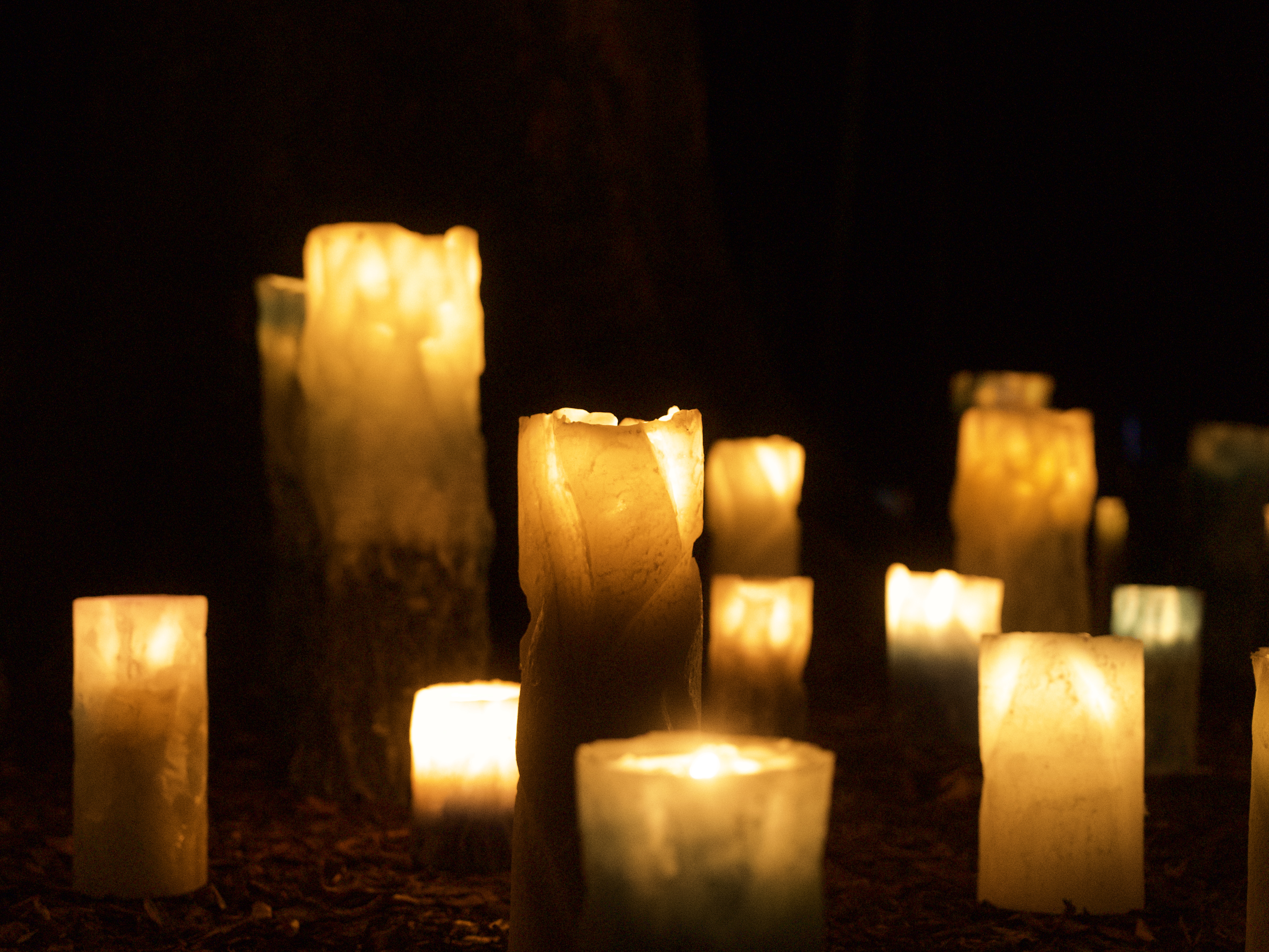 確認テストの画像