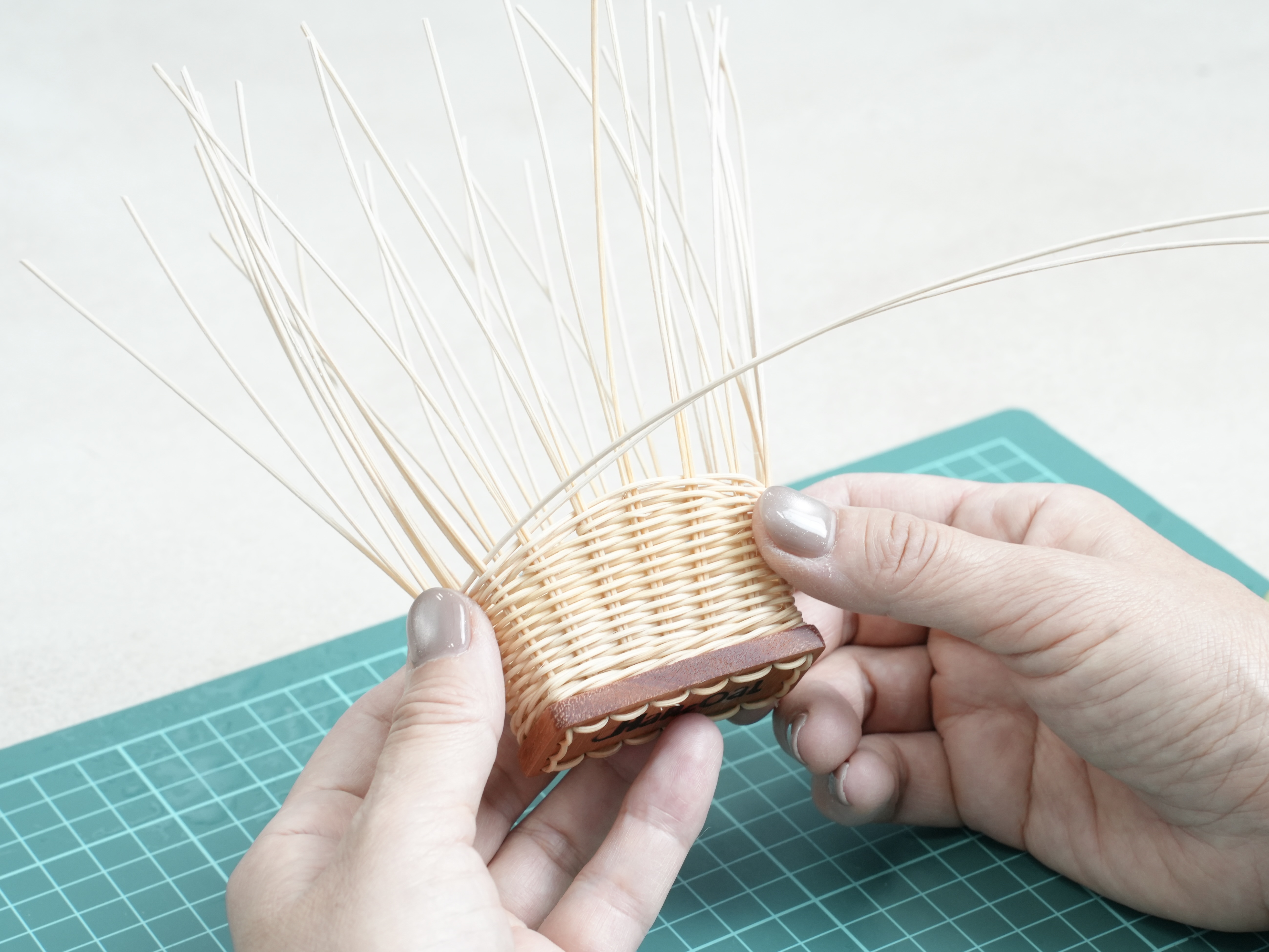 側面を立ち上げて本体を作ろうの画像