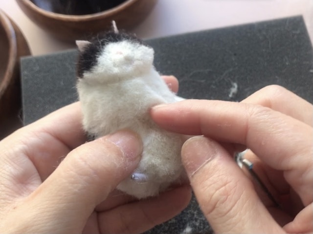 お腹の植毛とカット方法編の画像