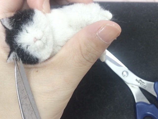 耳の毛の付け方と手足の整え方の画像
