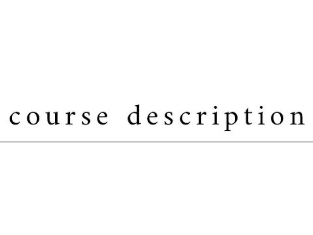 Introduction(導入)の画像