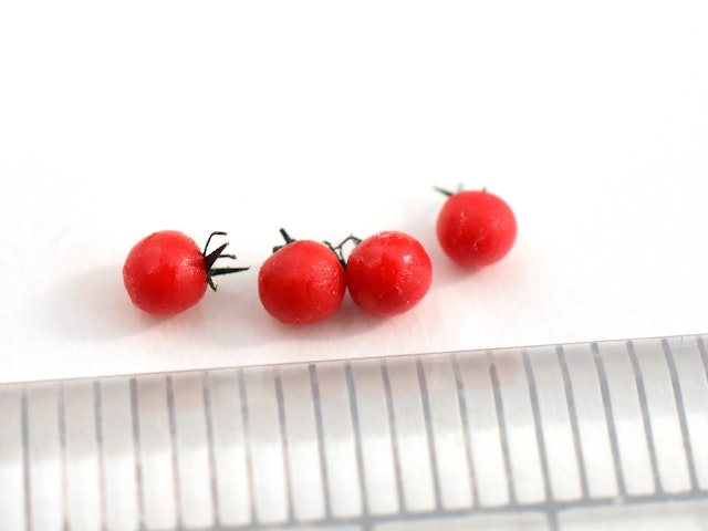 ミニトマトを作ろうの画像
