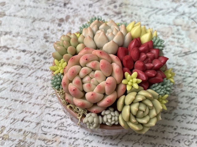 セダムの作り方の画像