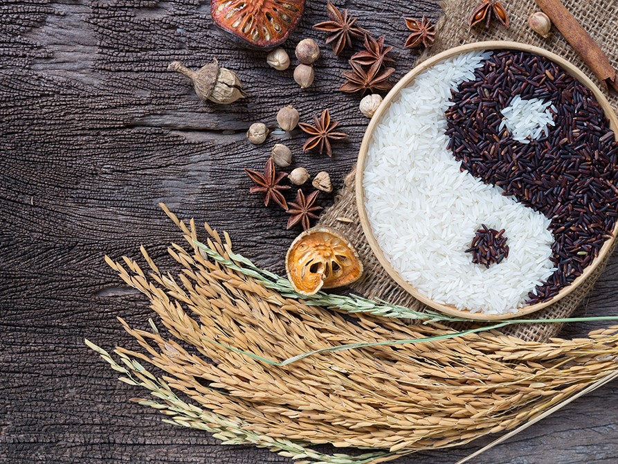 陰陽説・五行説とはの画像