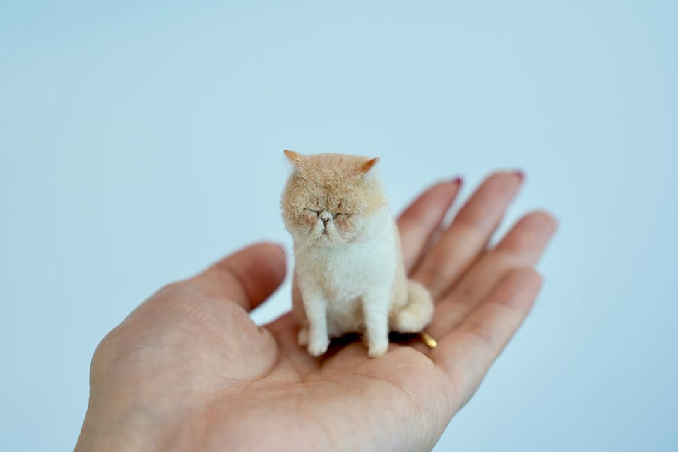 その作り手にしか表現できない可愛さがある ー 羊毛フェルト作家 MEBARU先生が込める想い