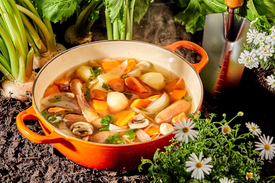 撮影：藤田ちひろ先生