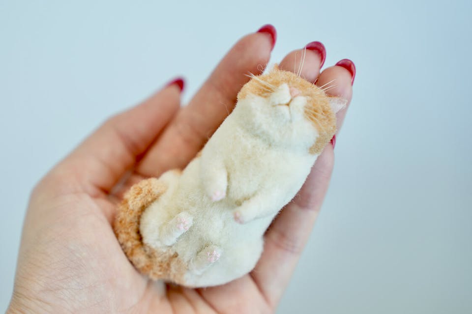 ーーその時はどんな風に思われましたか？