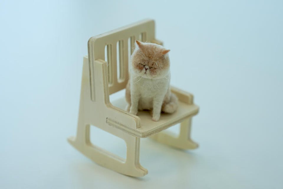 ーー「てのり犬」の本、私も読みたいです！そしてFANTISTでも犬の作り方レッスンを開講してほしいです！