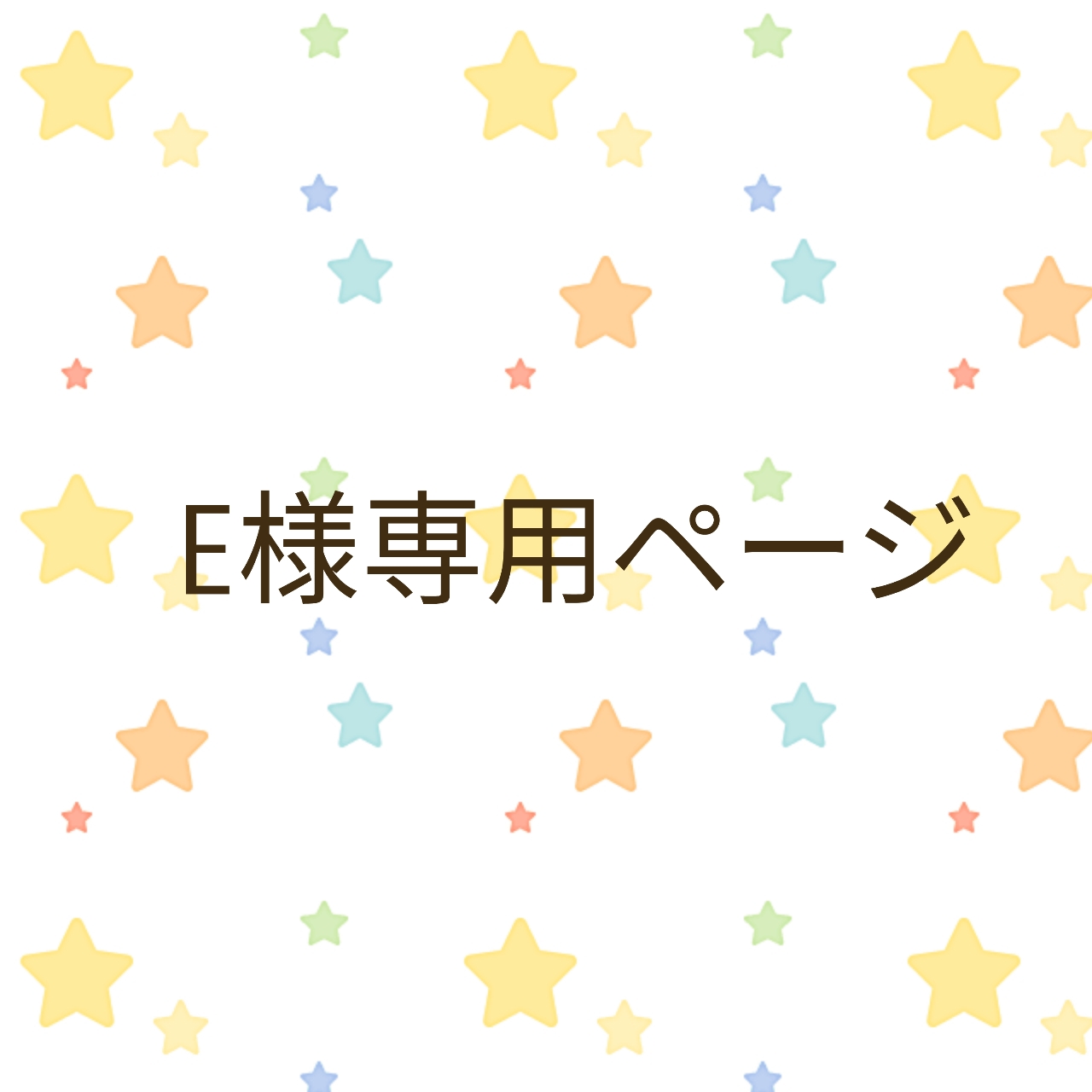 🌼E様専用ページ🌼