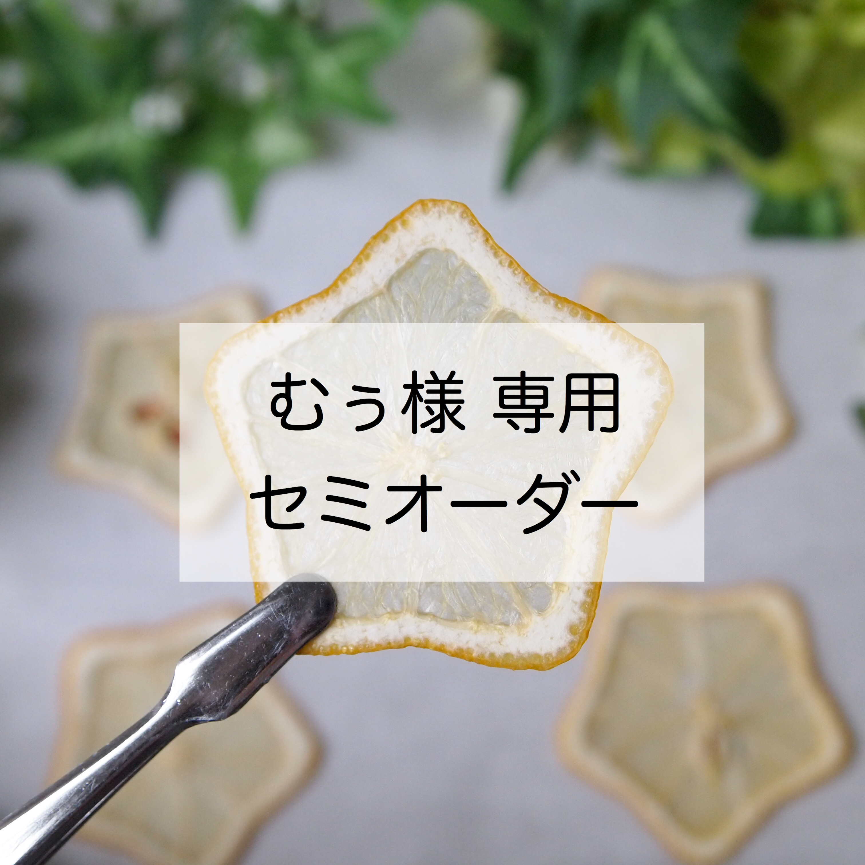 むぅ様専用♡セミオーダー