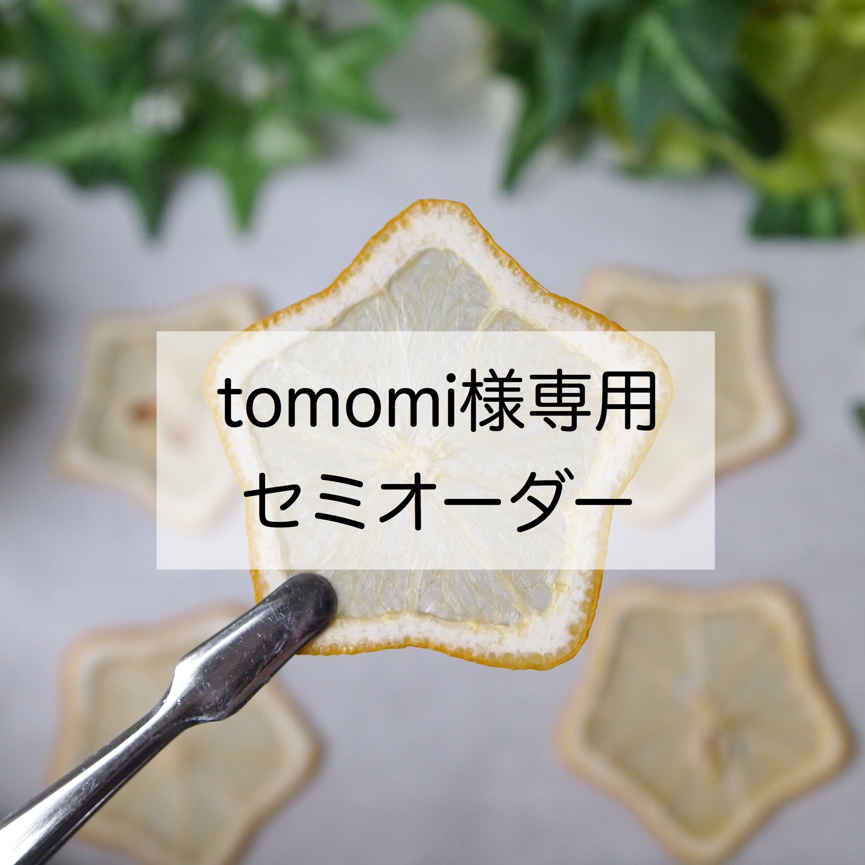 tomomi様専用♡セミオーダー