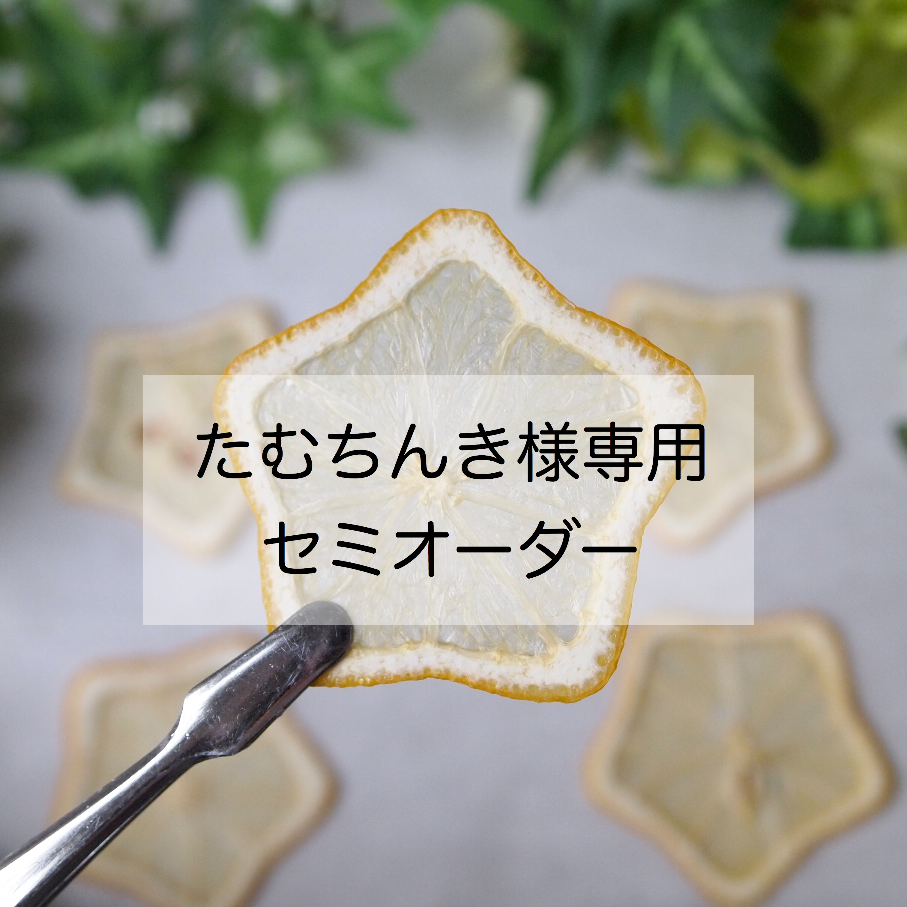 たむちんき様専用♡セミオーダー