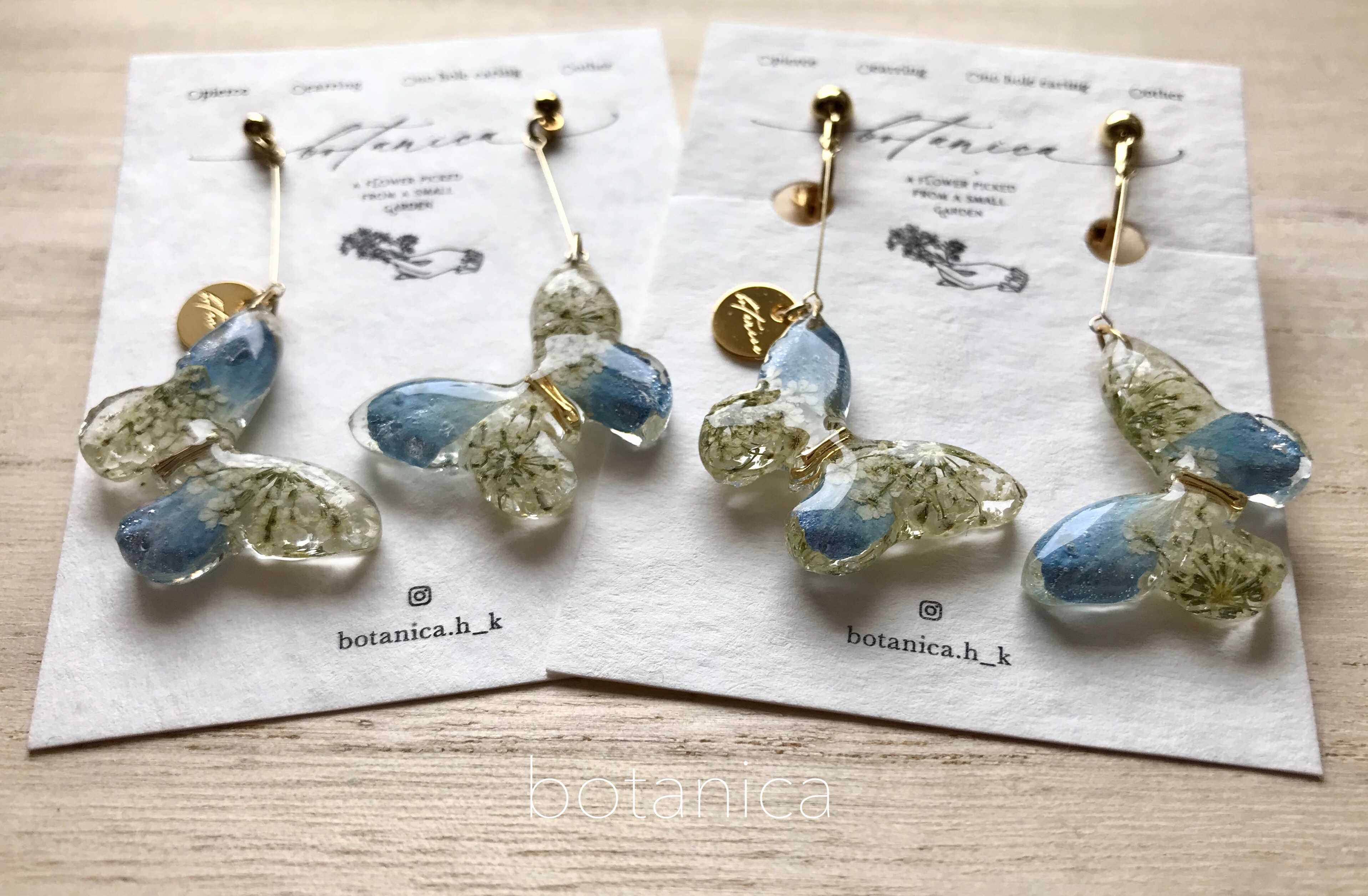 papillon 空色の紫陽花