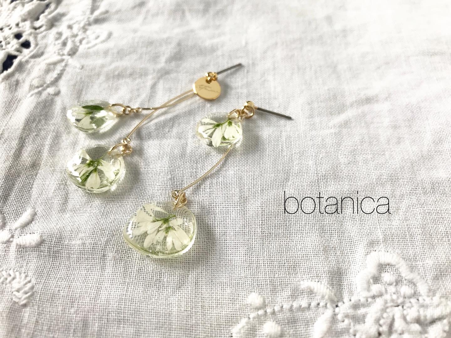 Petal 　ユーフォルビア