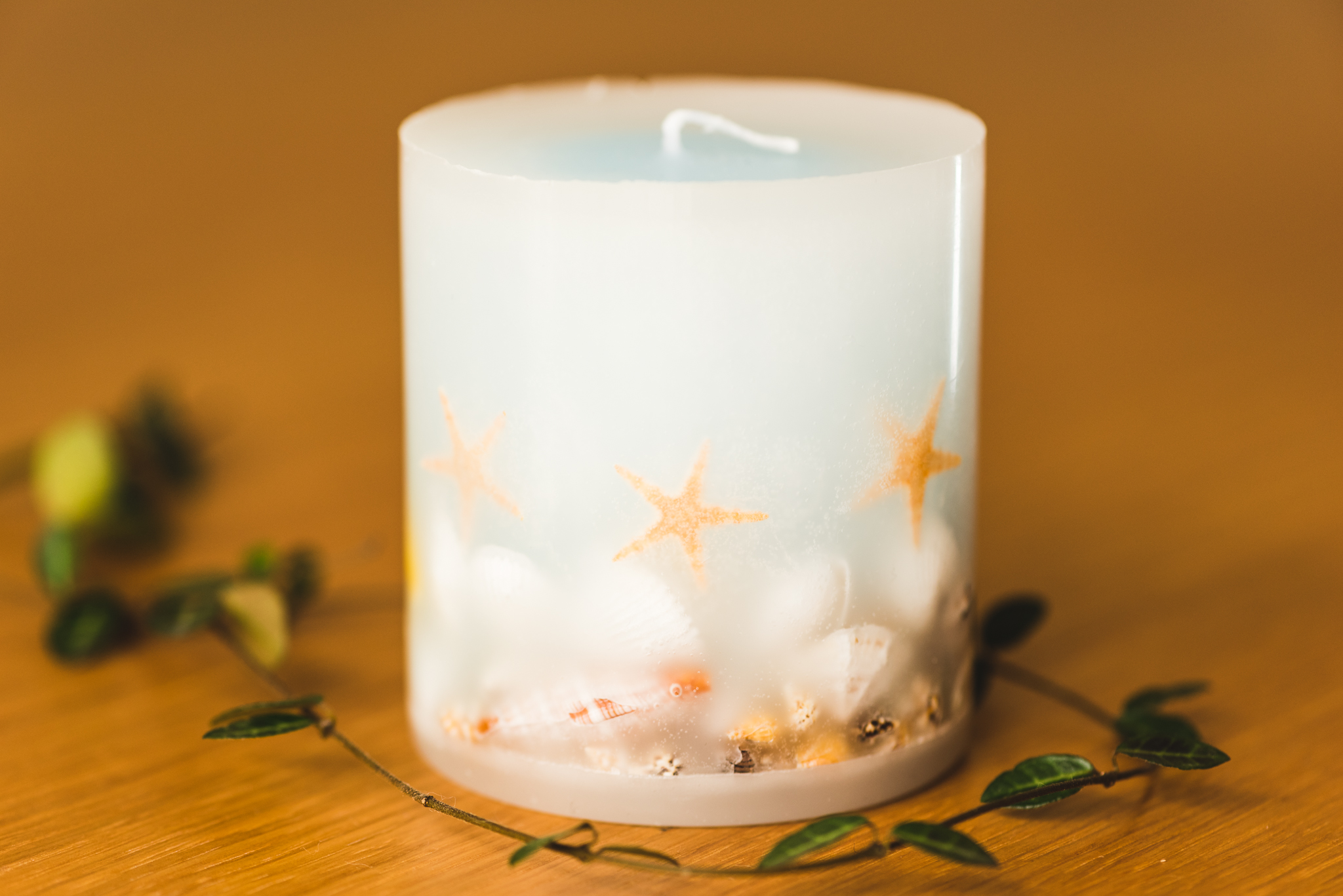 Botanical candle【Shell】